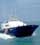 Coast Guard