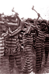 Prison Labor